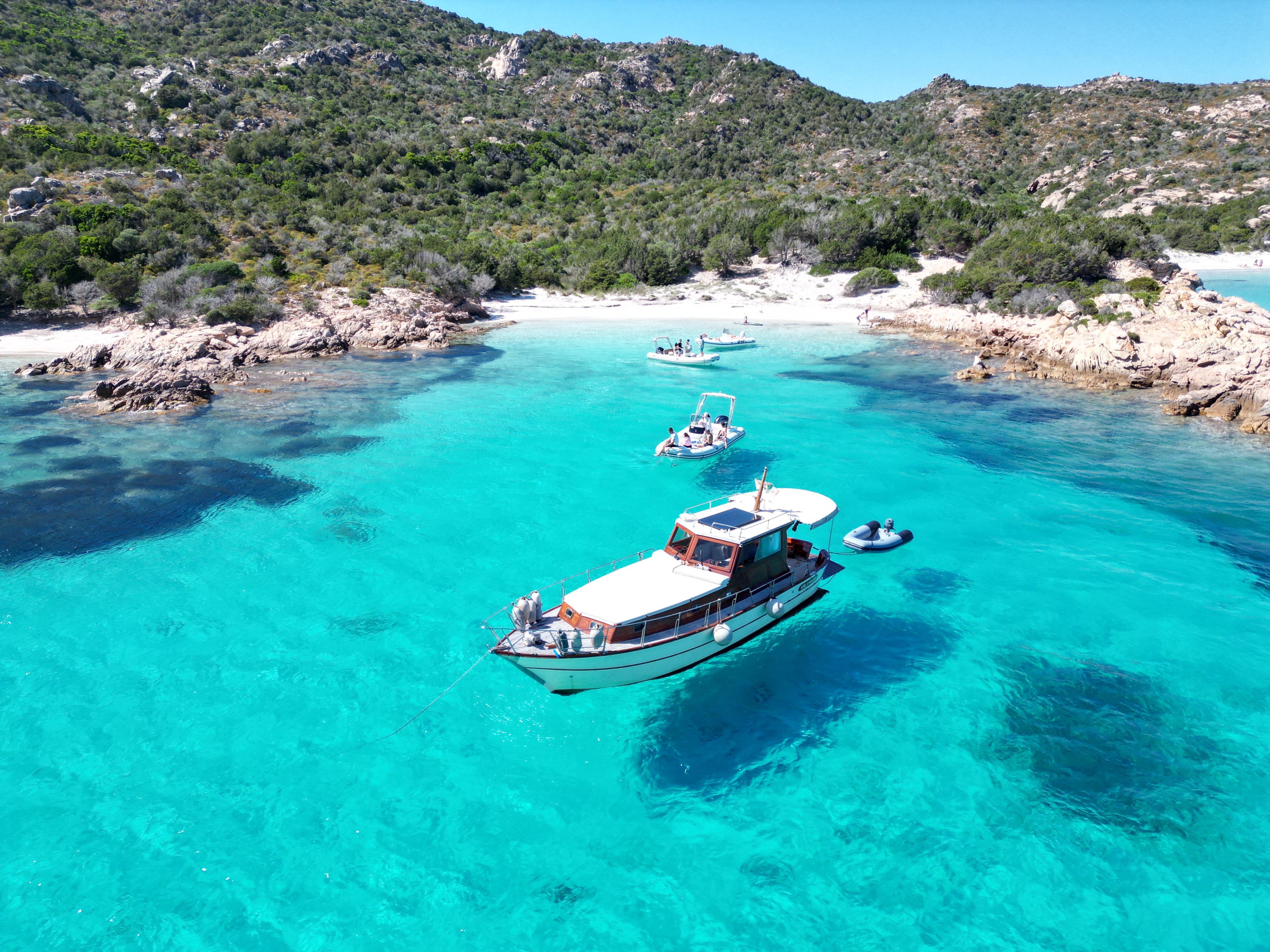 Foto STELLA DI MARE