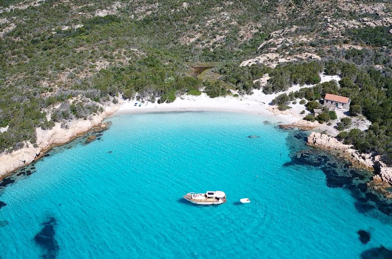 Foto STELLA DI MARE