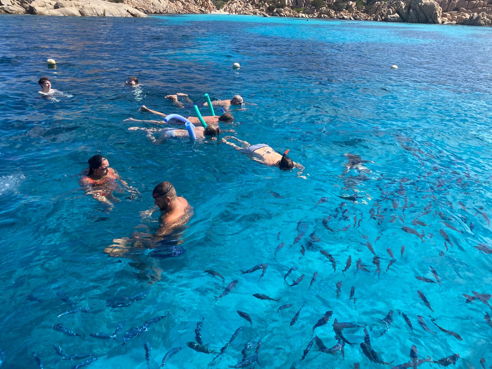 Foto Tour 4h Arcipelago di La Maddalena SILVER